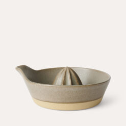 Citrus press olive
