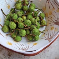 Fado håndmalt terracotta bolle