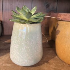 Belly pot lys grønn