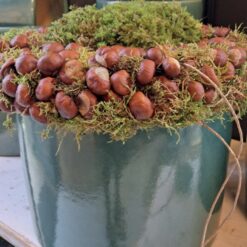 Mila potte low medium